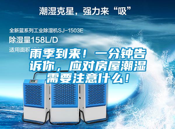 雨季到来！一分钟告诉你，应对房屋潮湿需要注意什么！