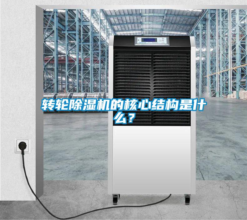 转轮91抖音免费看片的核心结构是什么？