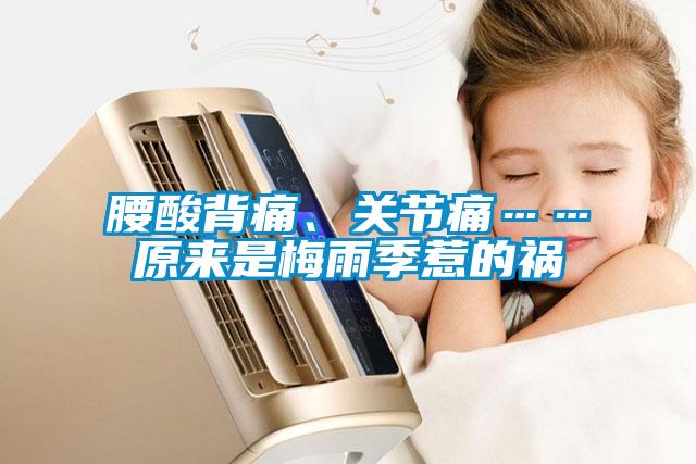 腰酸背痛、关节痛……原来是梅雨季惹的祸