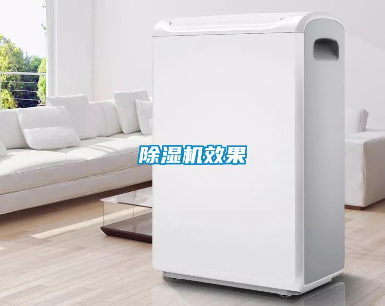 91抖音免费看片效果