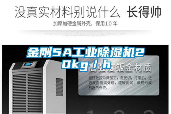 金刚5A工业91抖音免费看片20kg／h