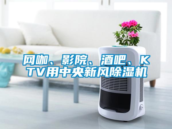 网咖、影院、酒吧、KTV用中央新风91抖音免费看片