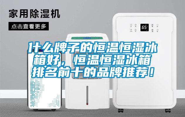 什么牌子的恒温恒湿冰箱好，恒温恒湿冰箱排名前十的品牌推荐！