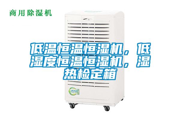 低温恒温恒湿机，低湿度恒温恒湿机，湿热检定箱