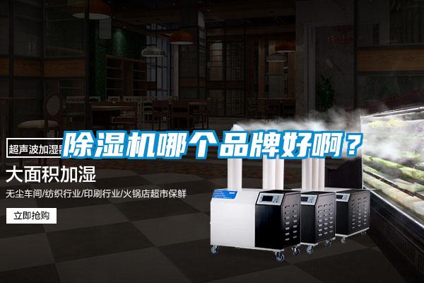 91抖音免费看片哪个品牌好啊?
