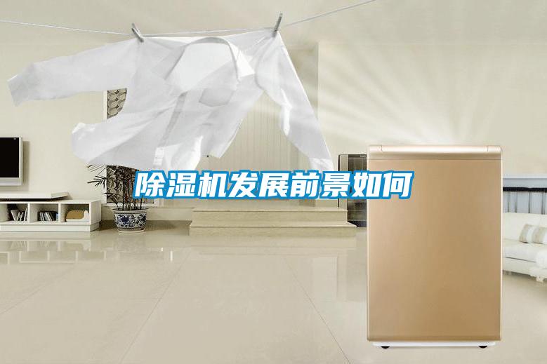 91抖音免费看片发展前景如何