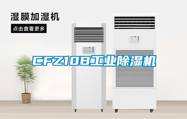 CFZ10B工业91抖音免费看片