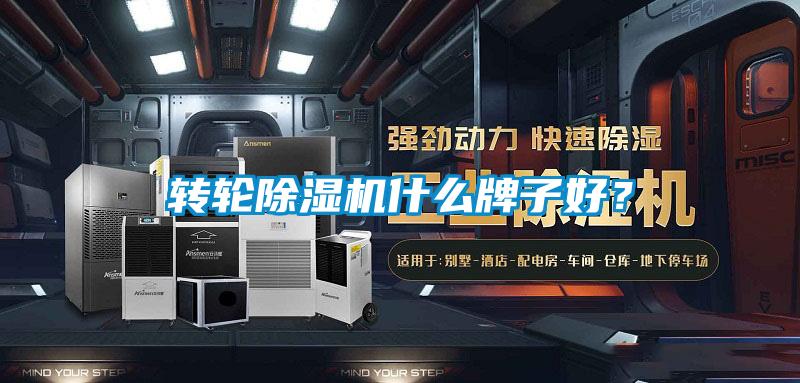 转轮91抖音免费看片什么牌子好？