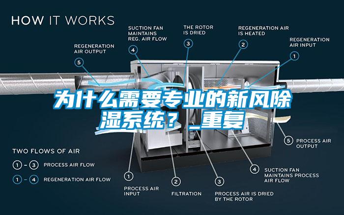 为什么需要专业的新风除湿系统？_重复