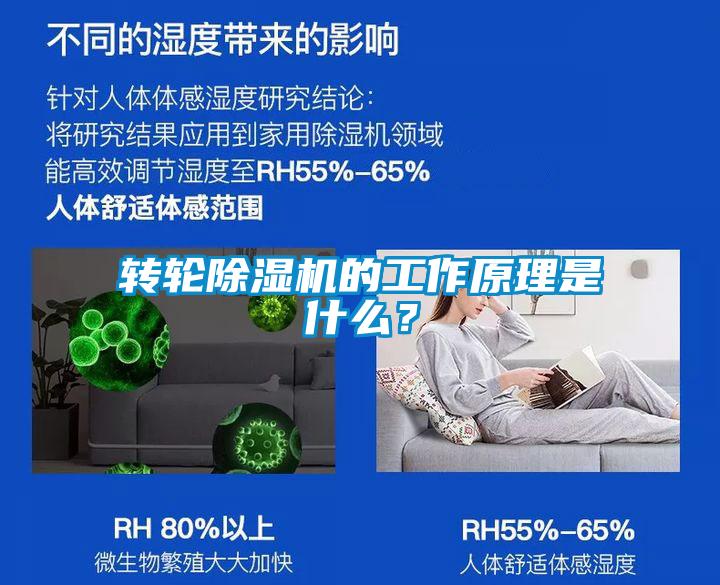 转轮91抖音免费看片的工作原理是什么？