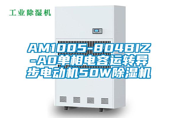 AM1005-804BIZ-A0单相电容运转异步电动机50W91抖音免费看片