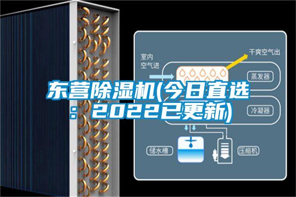 东营91抖音免费看片(今日直选：2022已更新)
