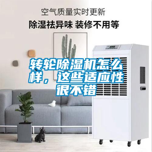 转轮91抖音免费看片怎么样，这些适应性很不错