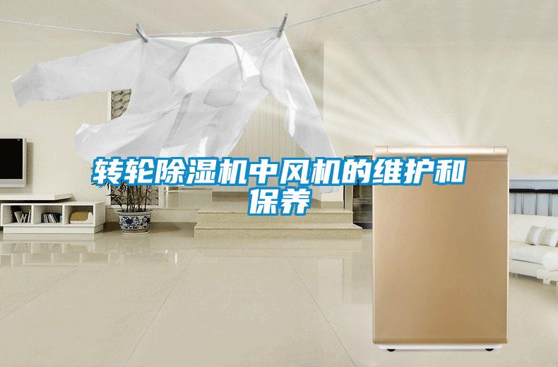 转轮91抖音免费看片中风机的维护和保养