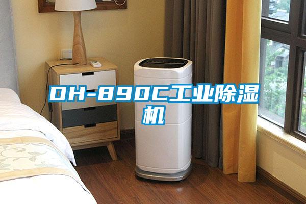 DH-890C工业91抖音免费看片