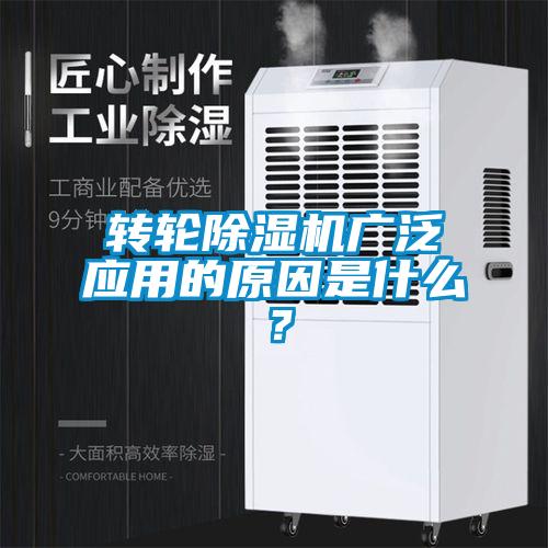 转轮91抖音免费看片广泛应用的原因是什么？
