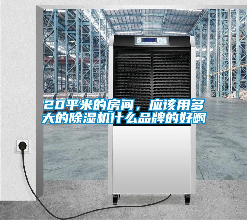 20平米的房间，应该用多大的91抖音免费看片什么品牌的好啊
