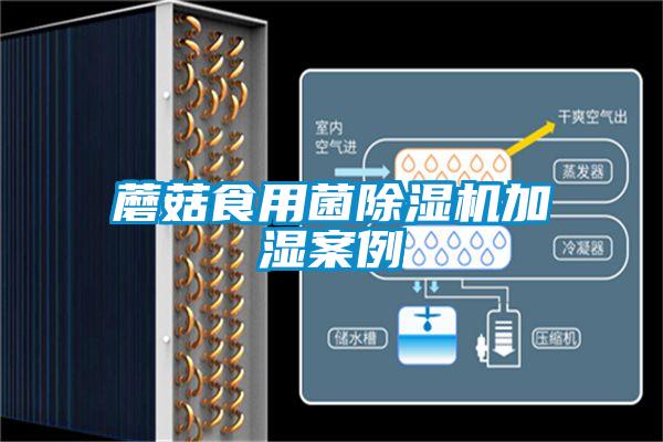 蘑菇食用菌91抖音免费看片加湿案例