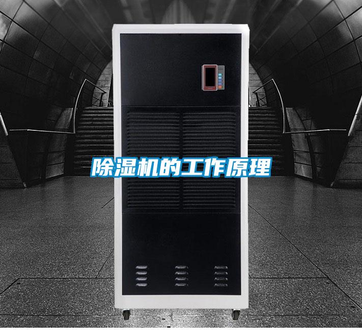 91抖音免费看片的工作原理