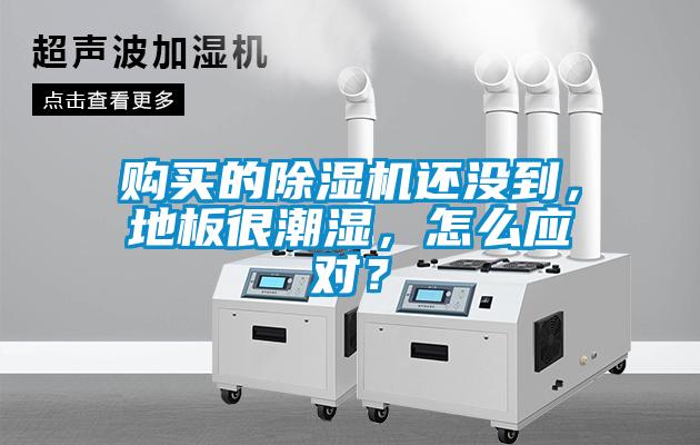 购买的91抖音免费看片还没到，地板很潮湿，怎么应对？