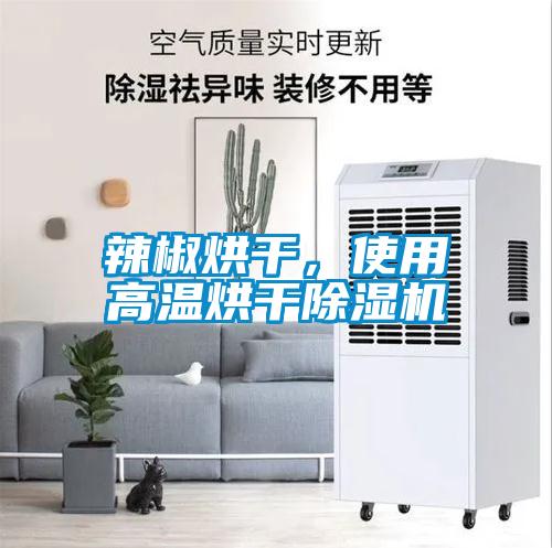 辣椒烘干，使用高温烘干91抖音免费看片