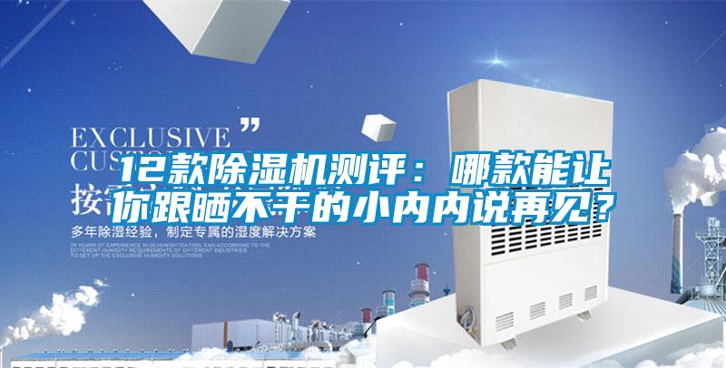 12款91抖音免费看片测评：哪款能让你跟晒不干的小内内说再见？