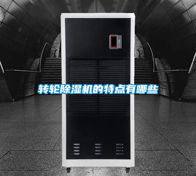 转轮91抖音免费看片的特点有哪些