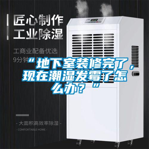 “地下室装修完了，现在潮湿发霉了怎么办？”