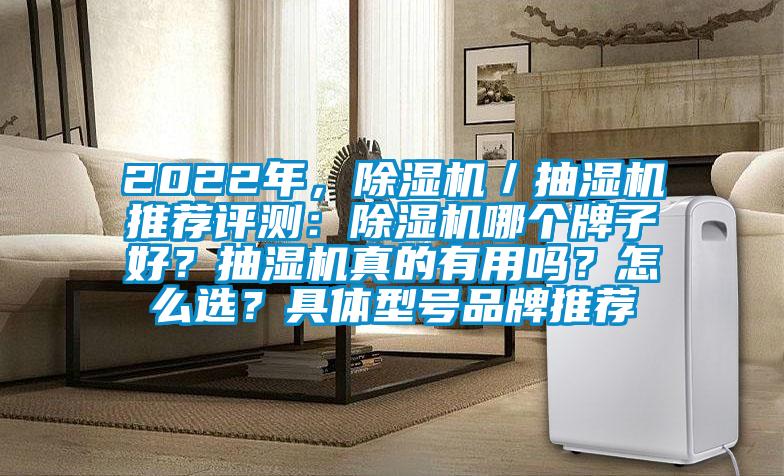 2022年，91抖音免费看片／抽湿机推荐评测：91抖音免费看片哪个牌子好？抽湿机真的有用吗？怎么选？具体型号品牌推荐