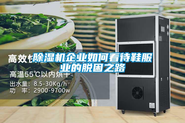91抖音免费看片企业如何看待鞋服业的脱困之路