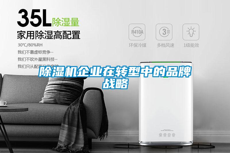 91抖音免费看片企业在转型中的品牌战略