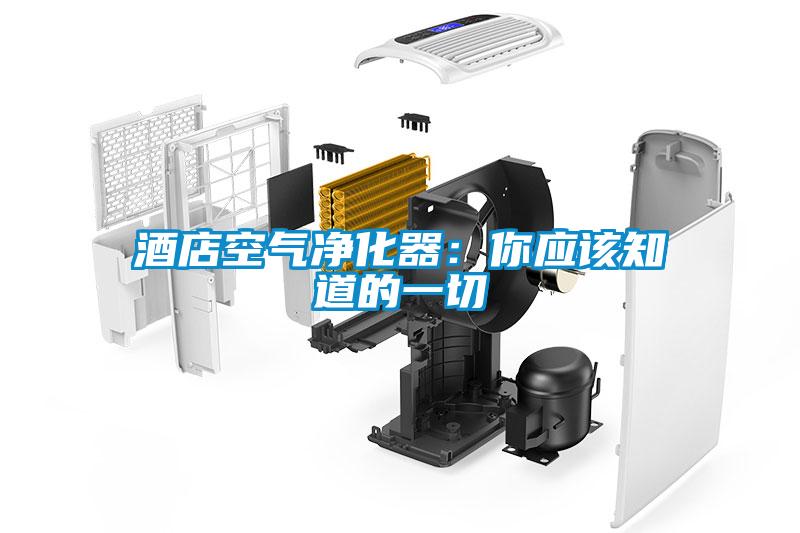 酒店空气净化器：你应该知道的一切