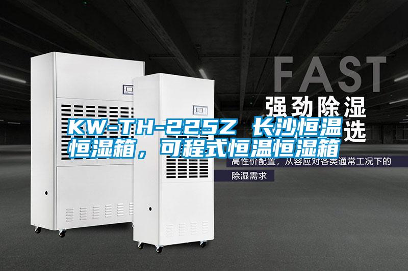 KW-TH-225Z 长沙恒温恒湿箱，可程式恒温恒湿箱