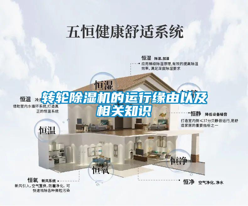 转轮91抖音免费看片的运行缘由以及相关知识