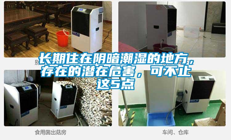 长期住在阴暗潮湿的地方，存在的潜在危害，可不止这5点