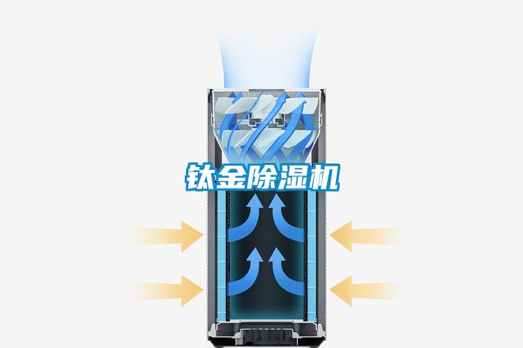 钛金91抖音免费看片