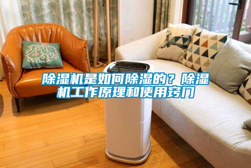 91抖音免费看片是如何除湿的？91抖音免费看片工作原理和使用窍门