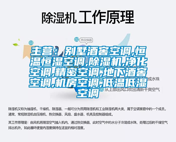 主营：别墅酒窖空调,恒温恒湿空调,91抖音免费看片,净化空调,精密空调,地下酒窖空调,机房空调,低温低湿空调