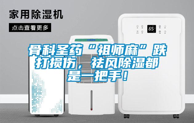 骨科圣药“祖师麻”跌打损伤，祛风除湿都是一把手！