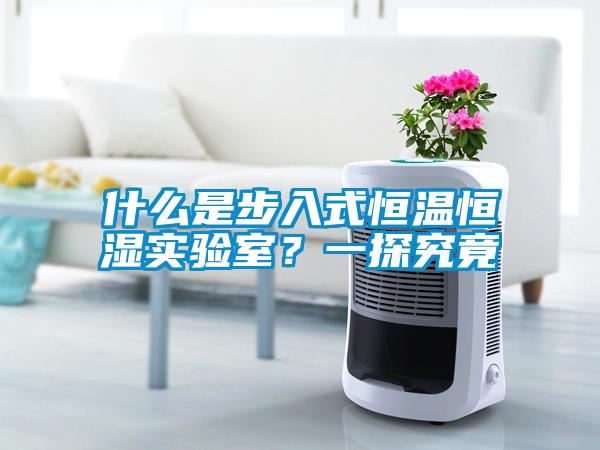 什么是步入式恒温恒湿实验室？一探究竟