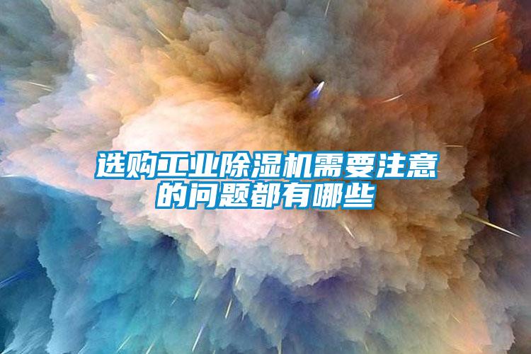 选购工业91抖音免费看片需要注意的问题都有哪些