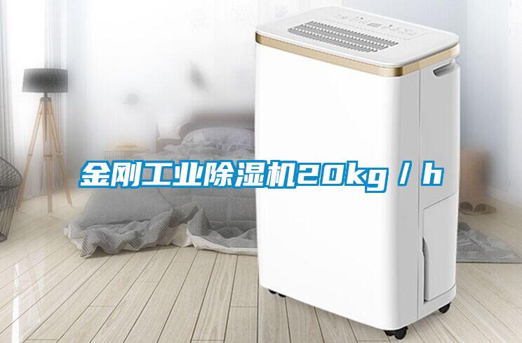 金刚工业91抖音免费看片20kg／h