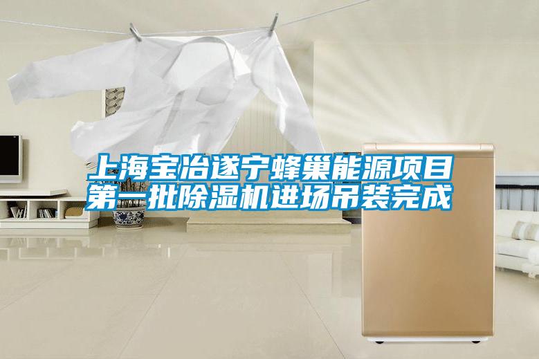 上海宝冶遂宁蜂巢能源项目第一批91抖音免费看片进场吊装完成