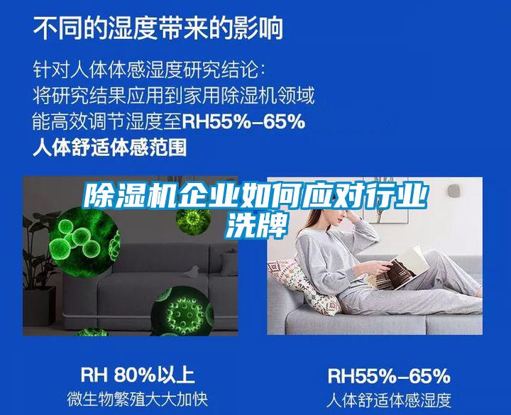 91抖音免费看片企业如何应对行业洗牌