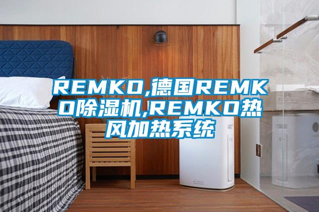 REMKO,德国REMKO91抖音免费看片,REMKO热风加热系统