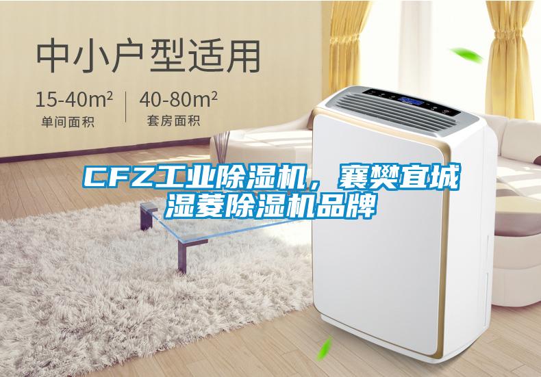 CFZ工业91抖音免费看片，襄樊宜城湿菱91抖音免费看片品牌