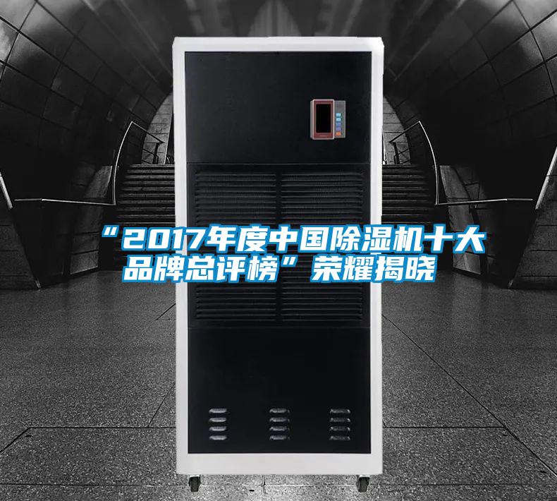“2017年度中国91抖音免费看片十大品牌总评榜”荣耀揭晓