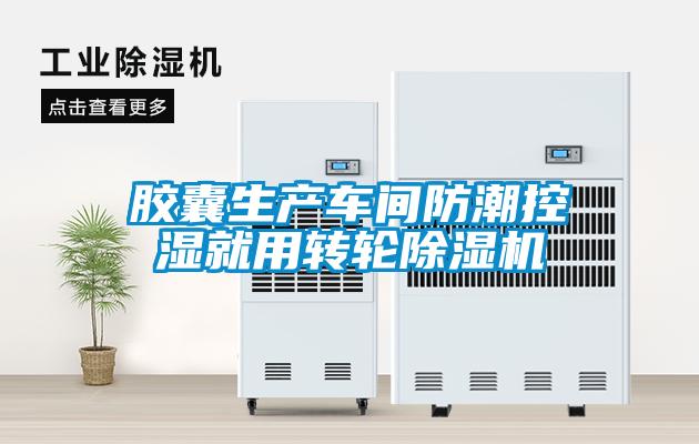 胶囊生产车间防潮控湿就用转轮91抖音免费看片