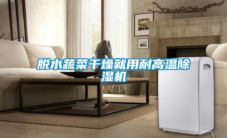 脱水蔬菜干燥就用耐高温91抖音免费看片