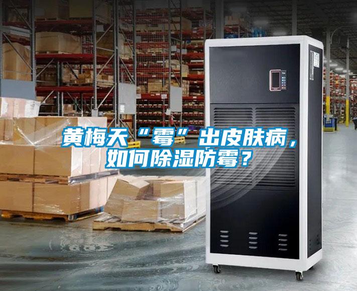 黄梅天“霉”出皮肤病，如何除湿防霉？